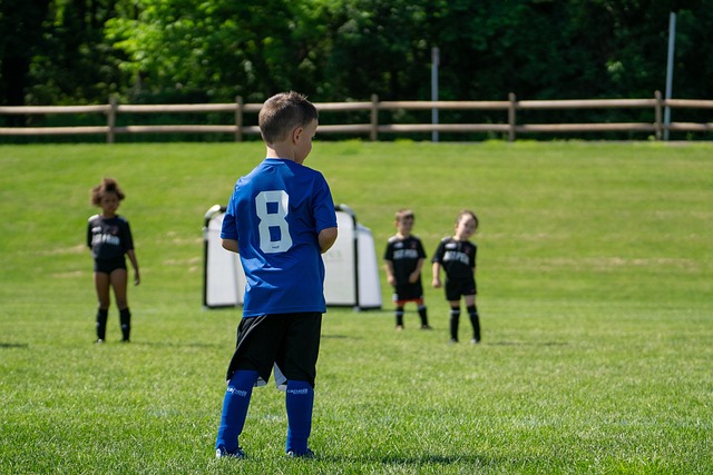 从而激励大 从而激励大