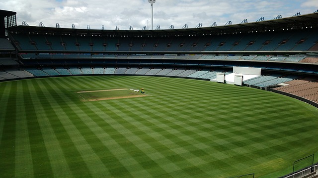 在属于自己 在属于自己